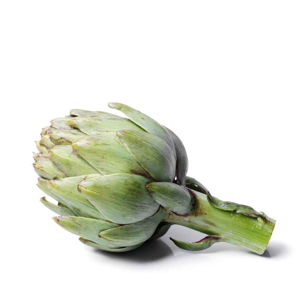 Fresh Local Artichoke
