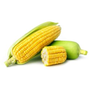 Fresh Corn