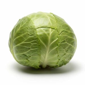 Green Cabbage