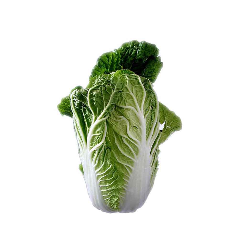 Fresh Chinese Cabbage