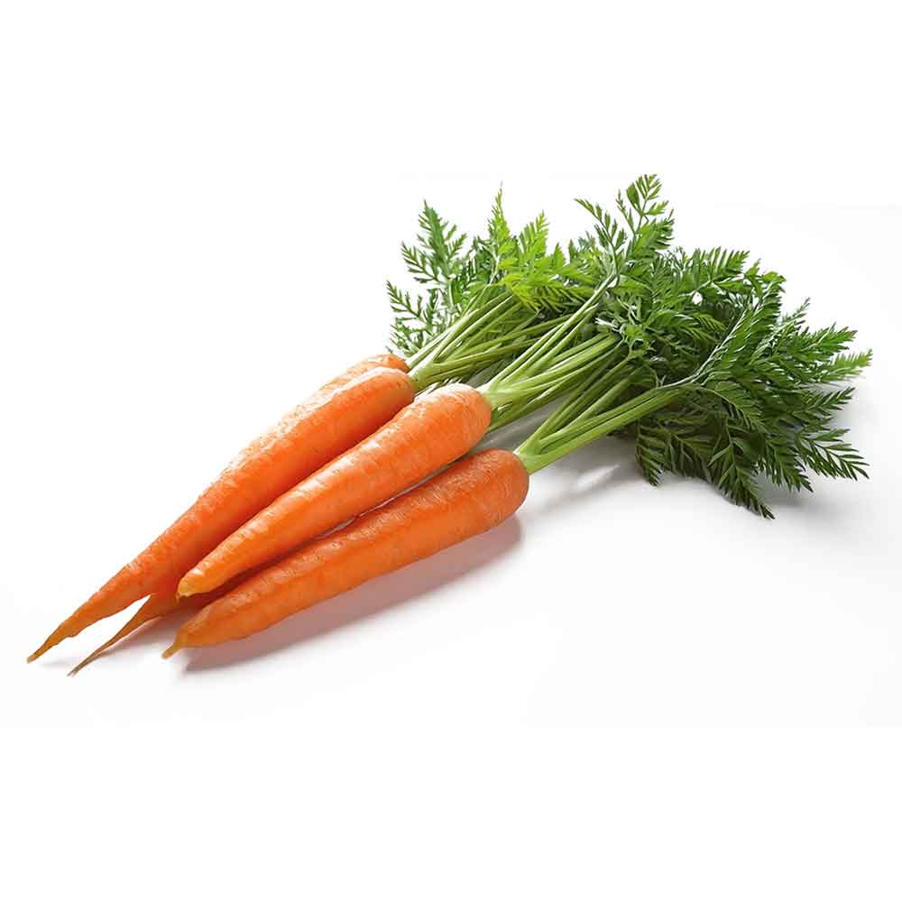 Farm Fresh Carrots