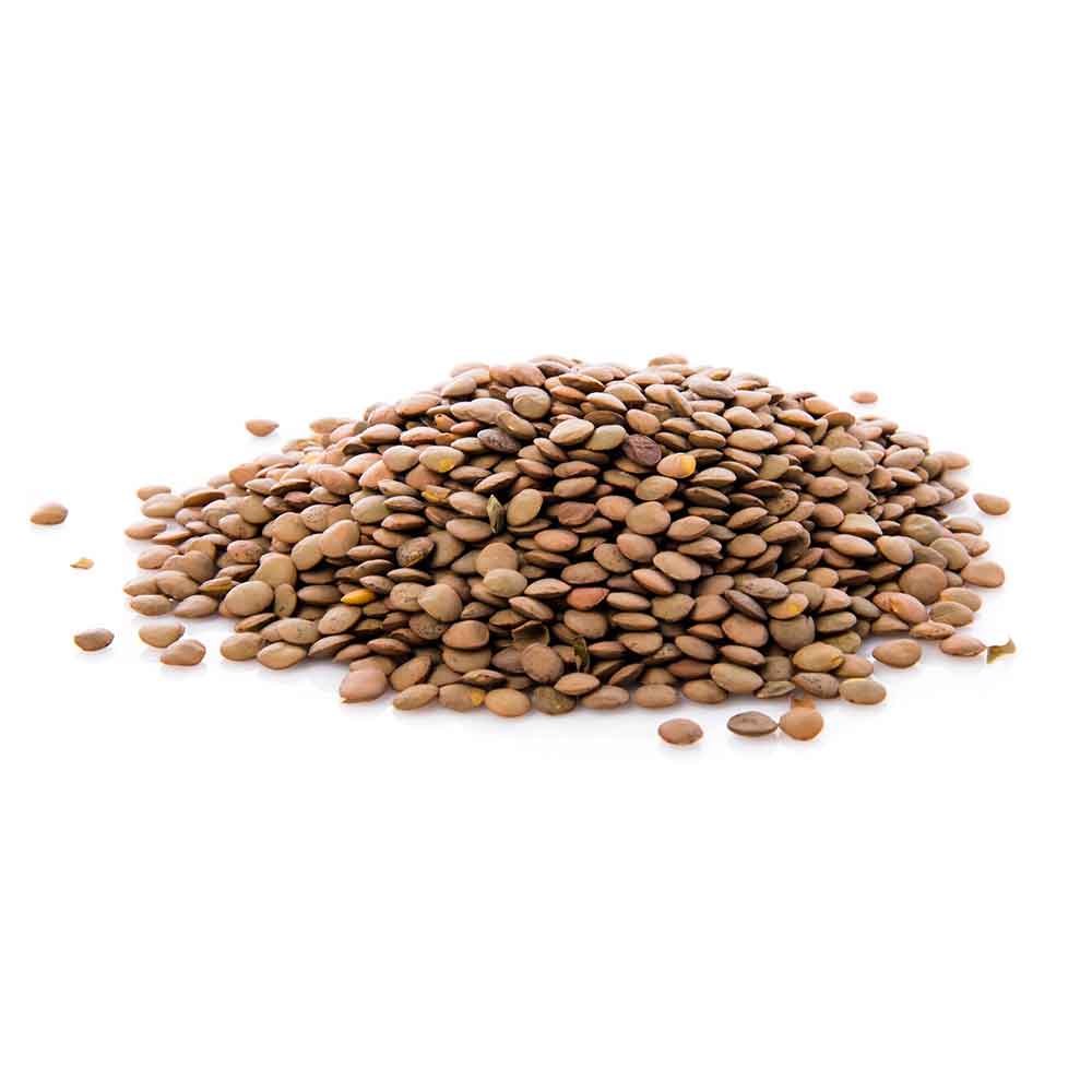 Premium Brown Lentils