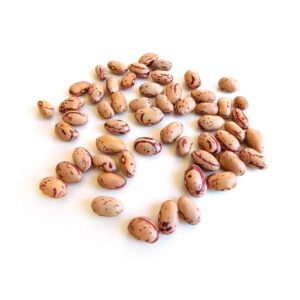 Cranberry Beans