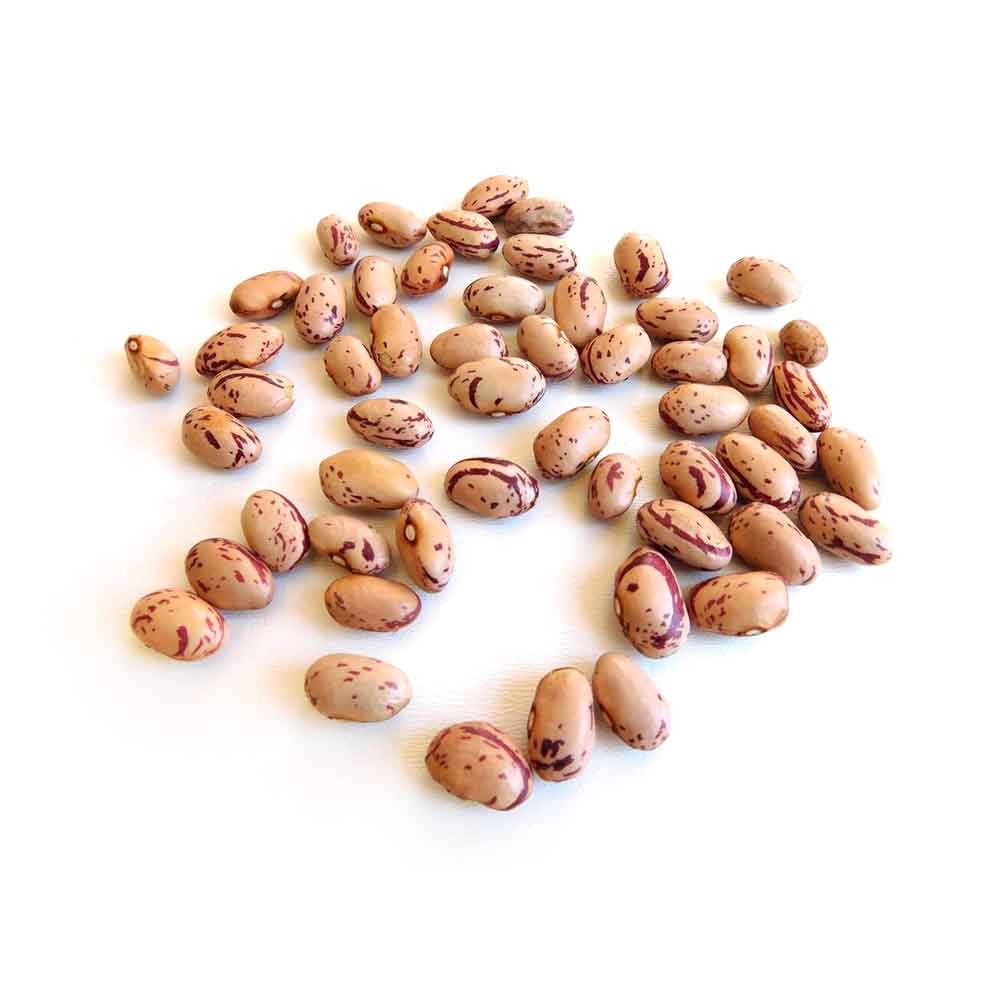 Premium Cranberry Beans