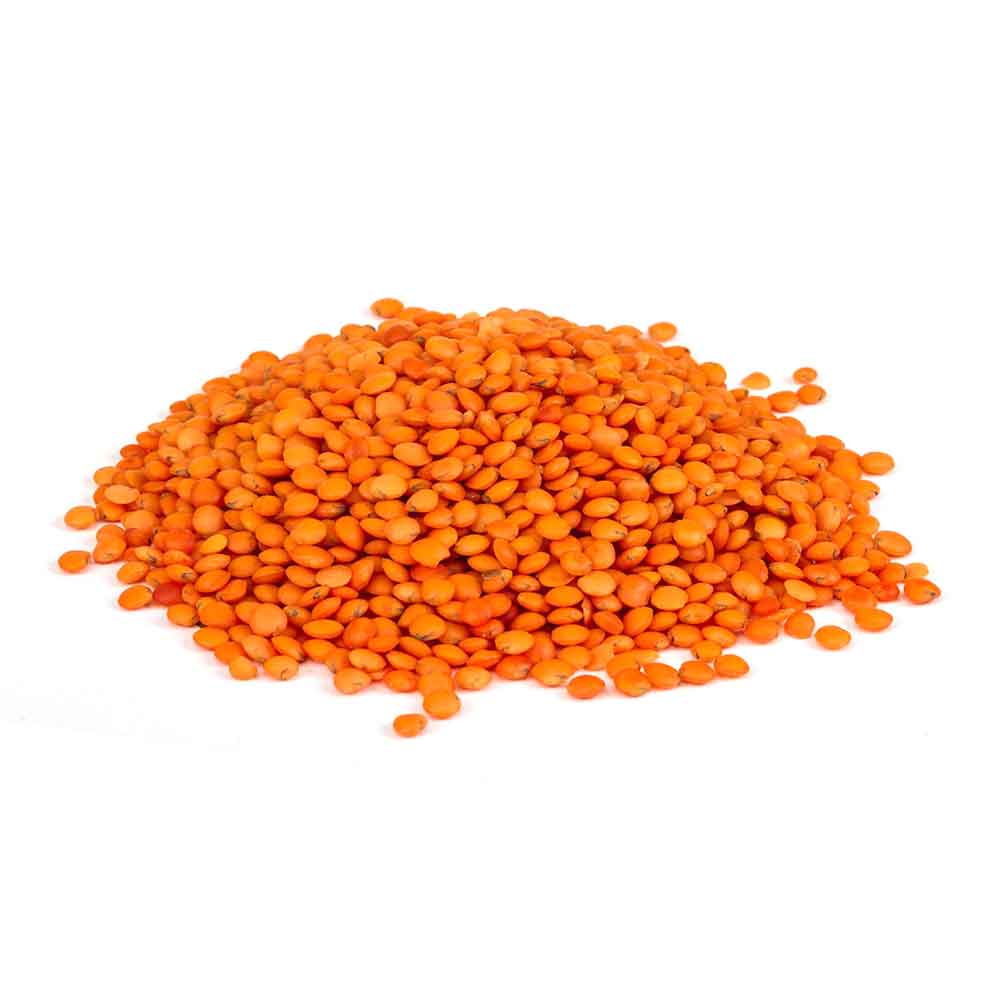 Premium Red Lentils