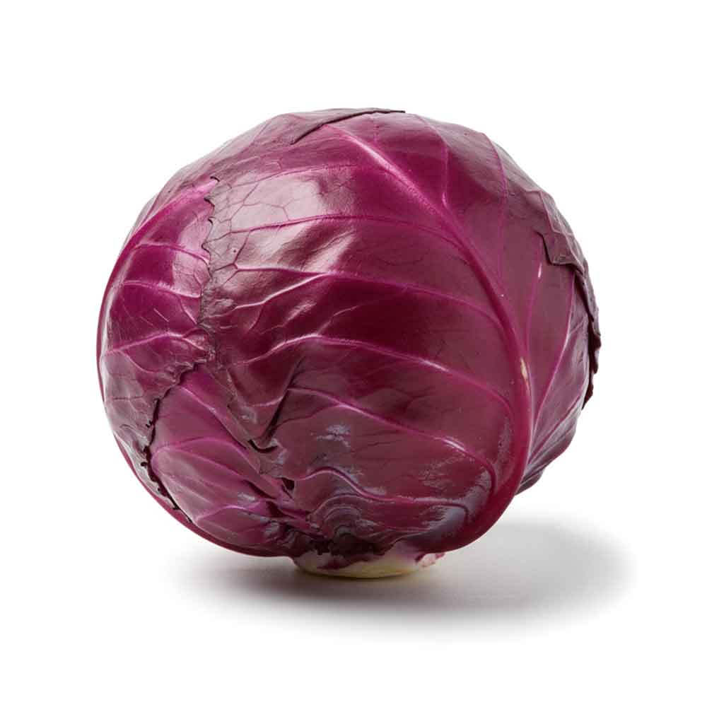 Fresh Red Cabbage