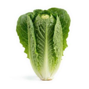Romaine Lettuce