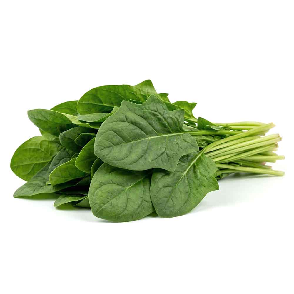 Premium Fresh Spinach