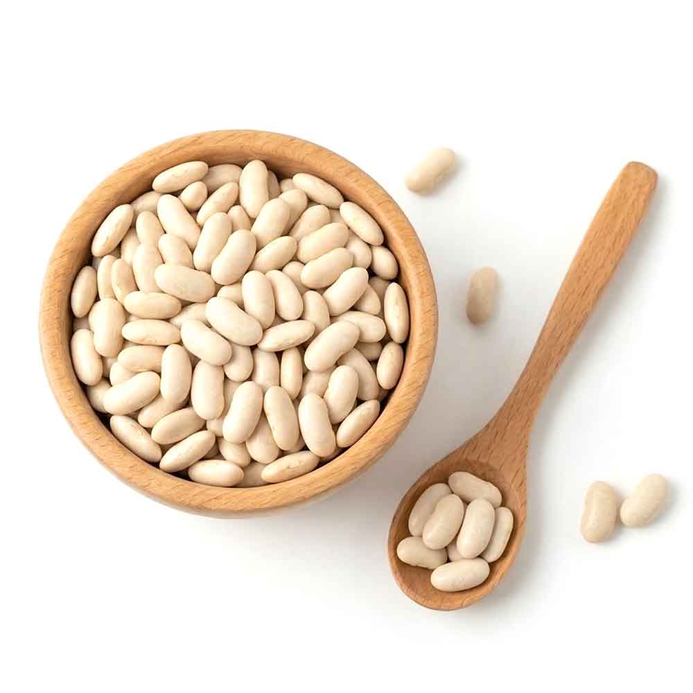 Premium Great Northern Beans