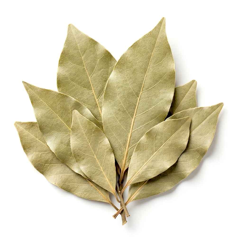 Dried Bay leaves