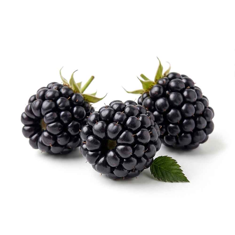 Fresh Juicy Blackberries