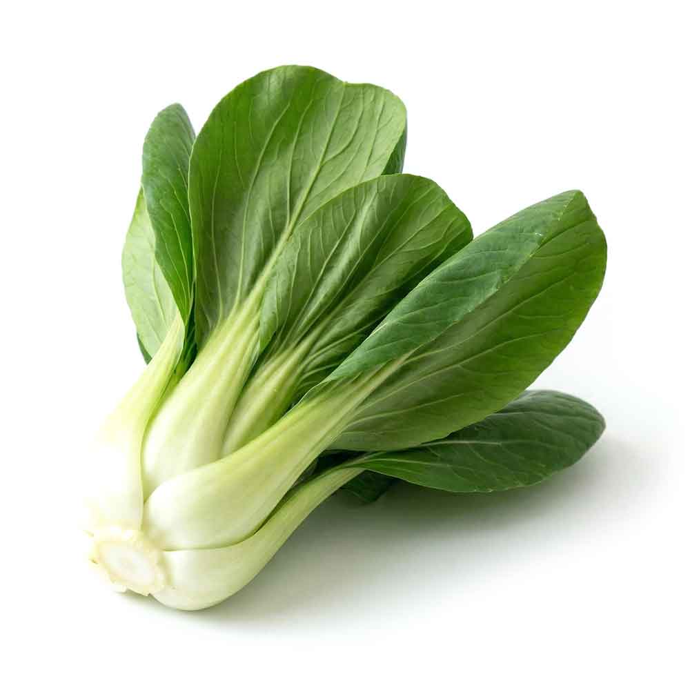 Fresh Bok Choy