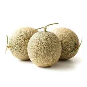 Cantaloupe