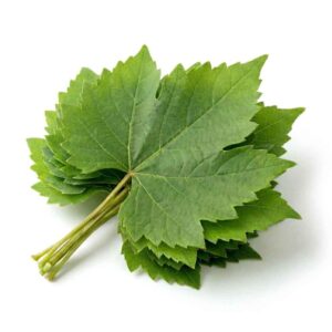 Grape Leaves