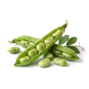 Green Fava Beans