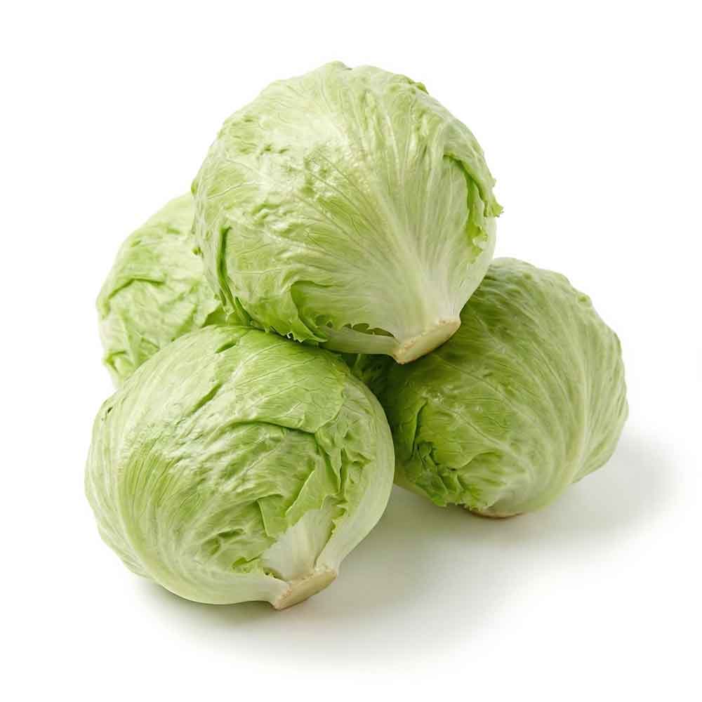 Fresh Iceberg Lettuce