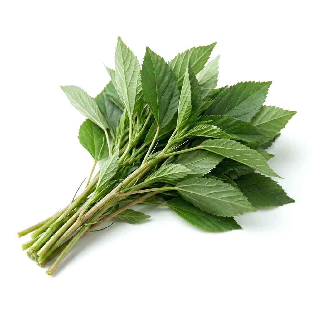 Fresh Molokhia Bunch
