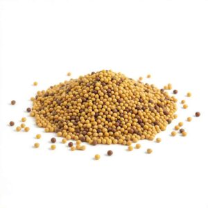 Mustard Seeds