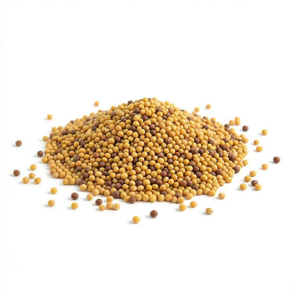 Whole Mustard Seeds