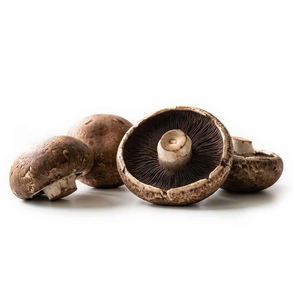 Fresh Portobello Mushrooms