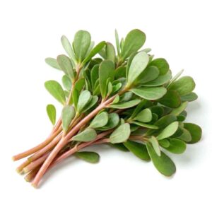 Purslane