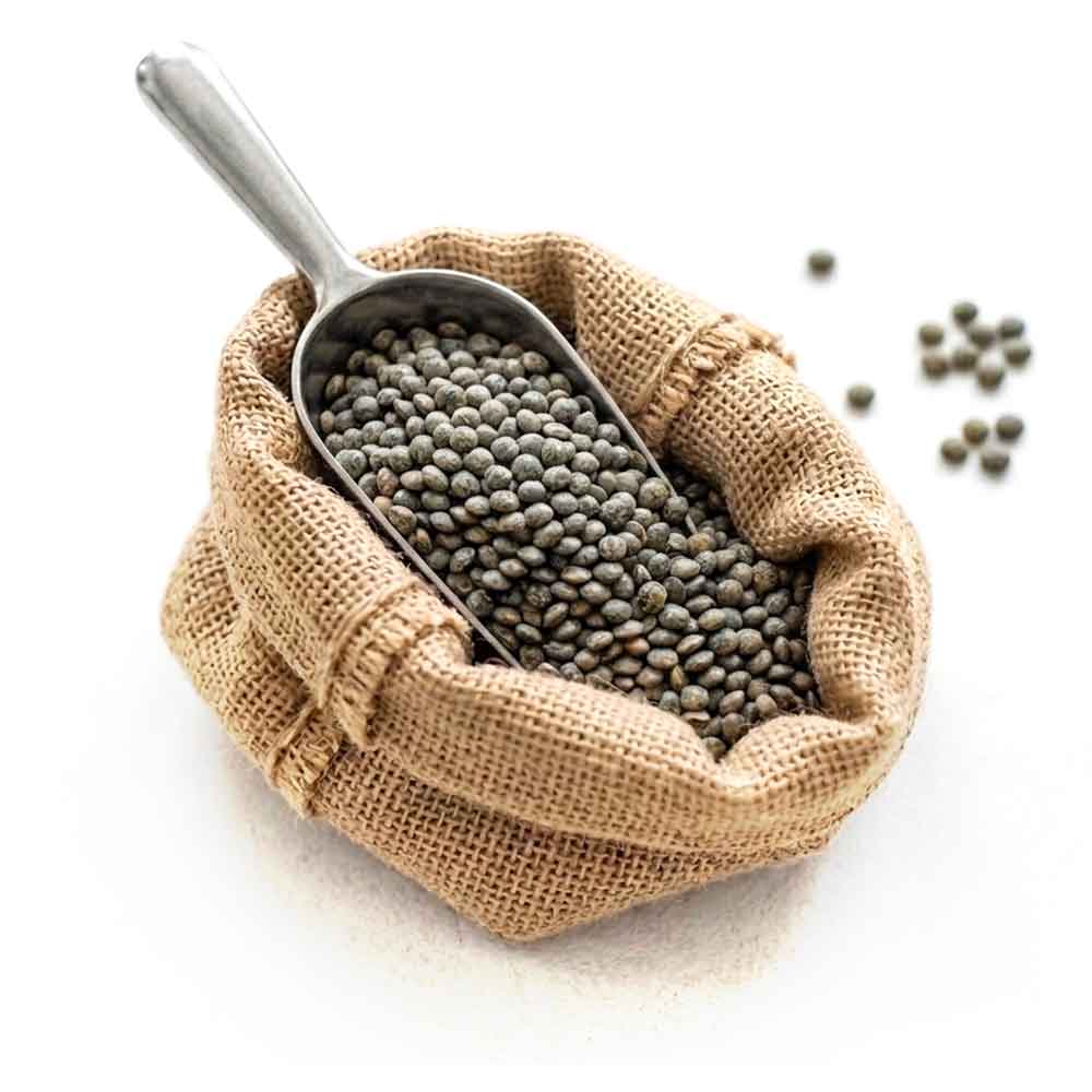 Premium Puy Lentils