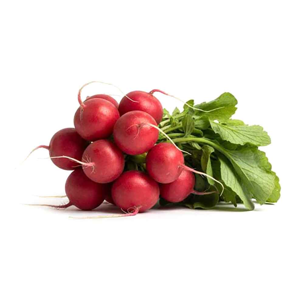 Fresh Radish Bunch
