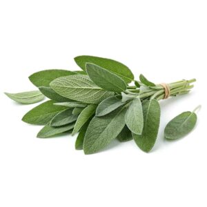 Sage