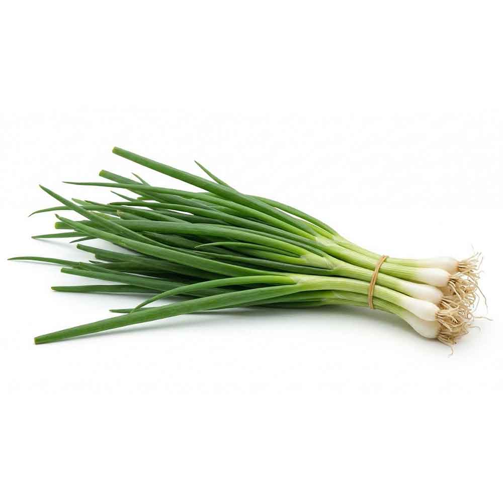 Fresh Spring Onion Bunch