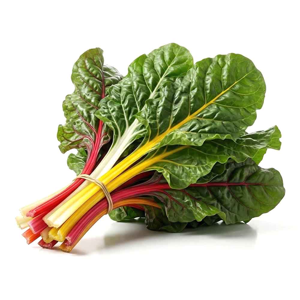 Fresh Swiss Chard Bunch