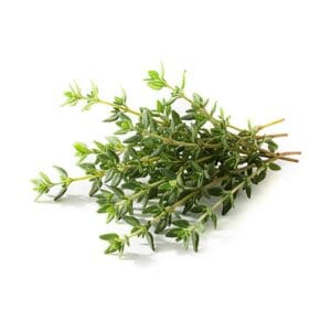 Thyme