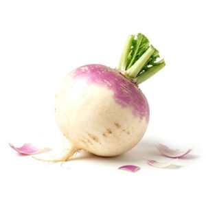 Turnip