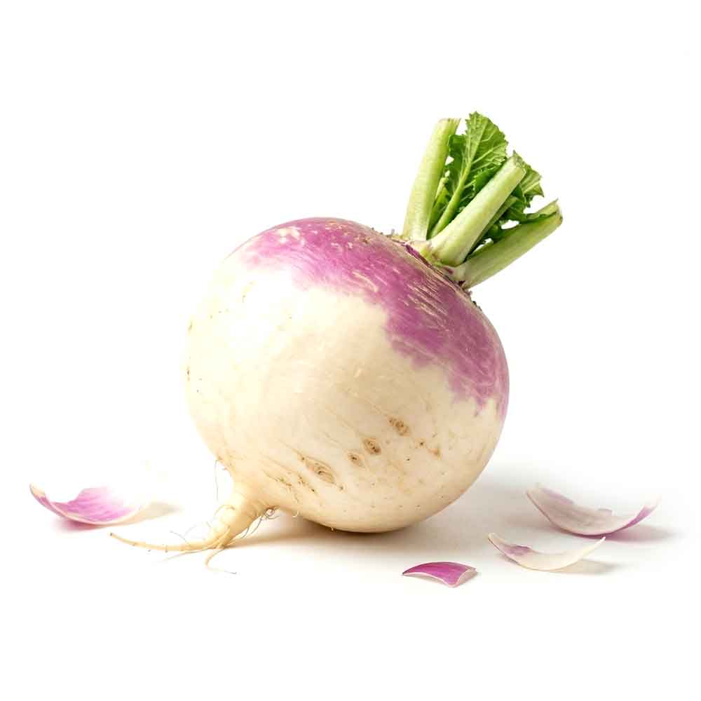 Fresh Turnip Vegetable