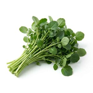 Watercress