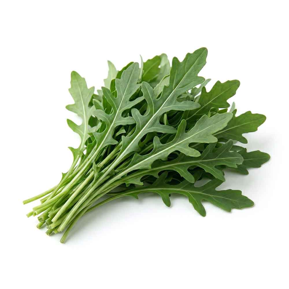 Fresh Arugula Bunch