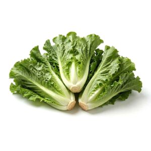 Escarole