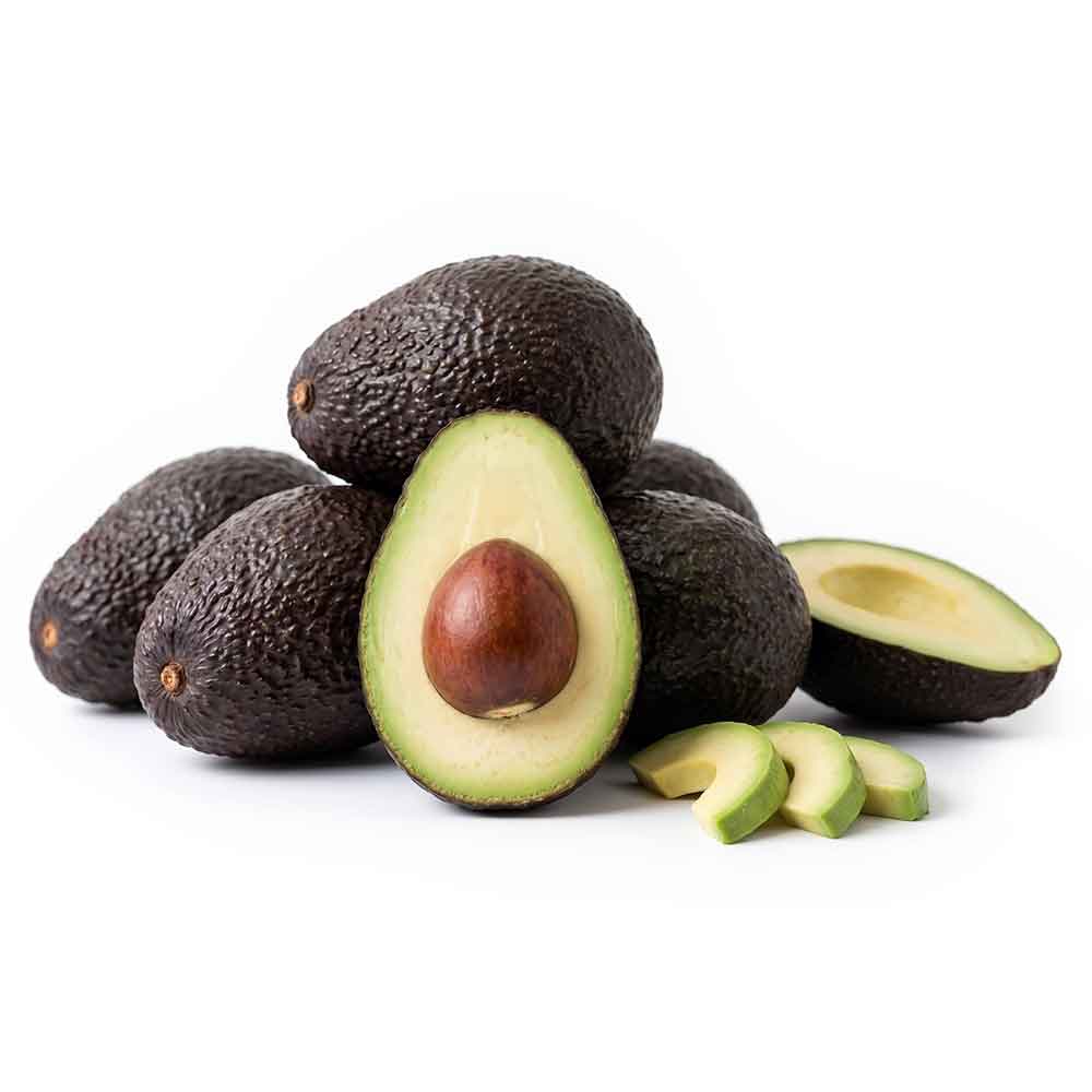 Fresh Avocado Hass