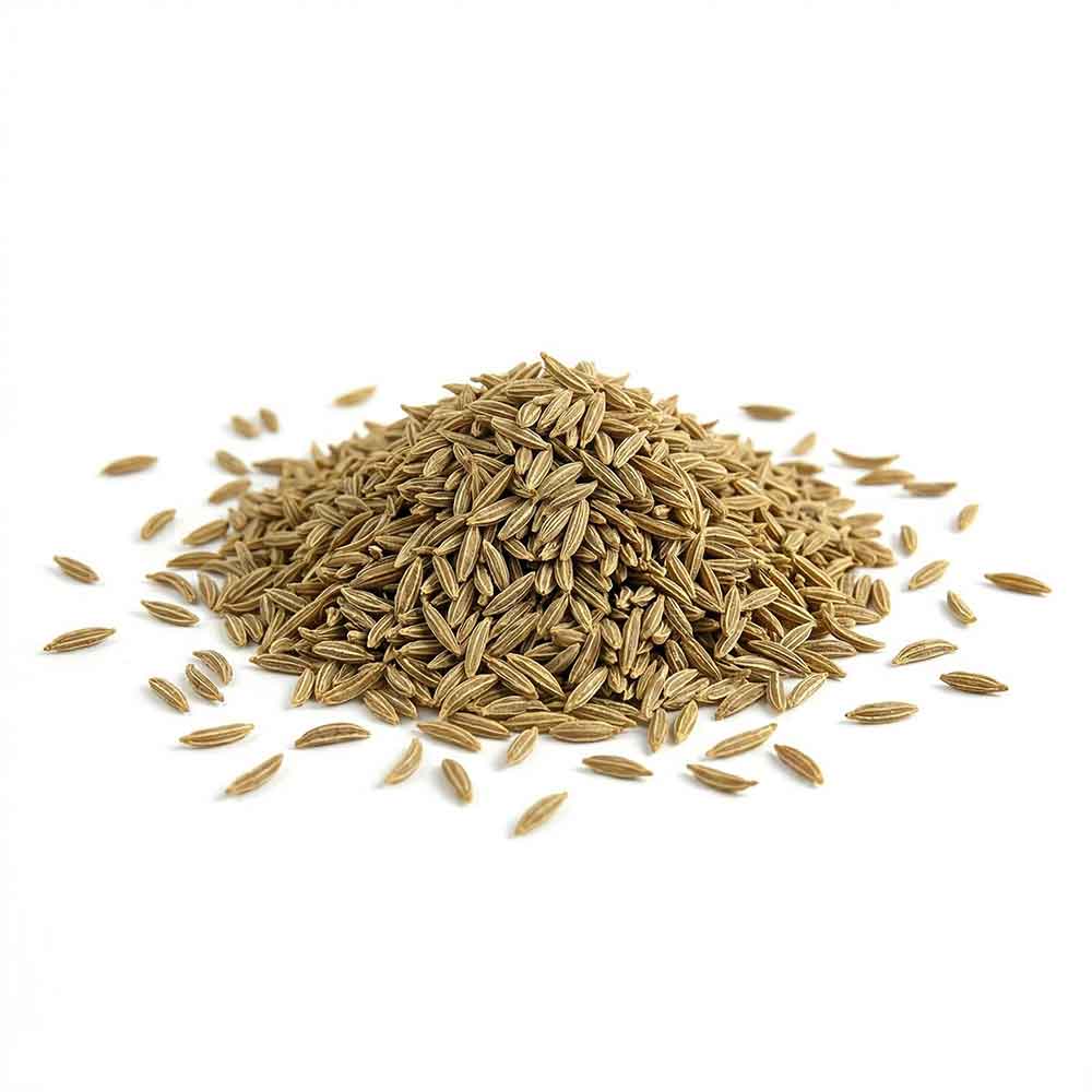 Whole Cumin Seeds