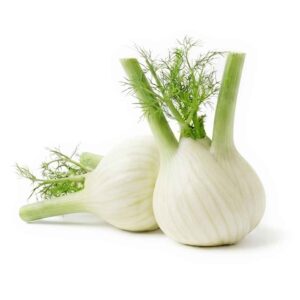 Fennel Roots