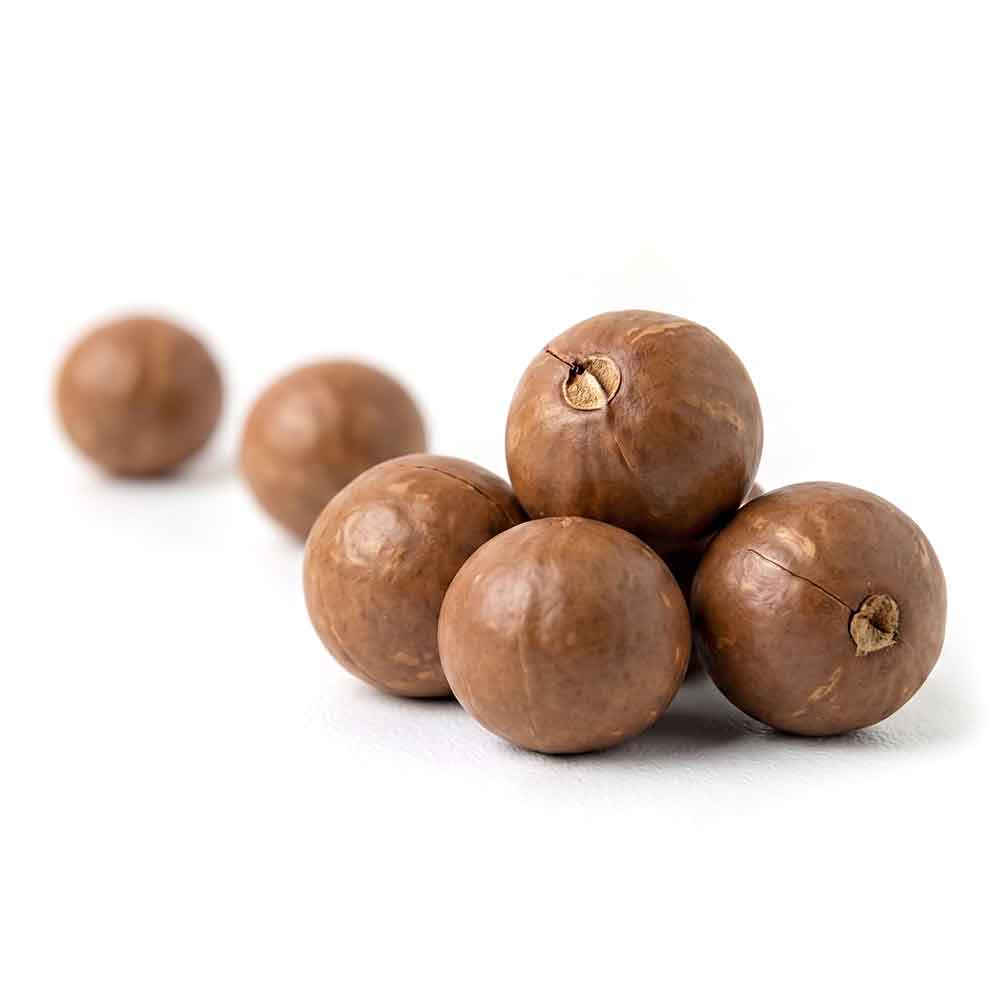 Fresh Macadamia In Shell