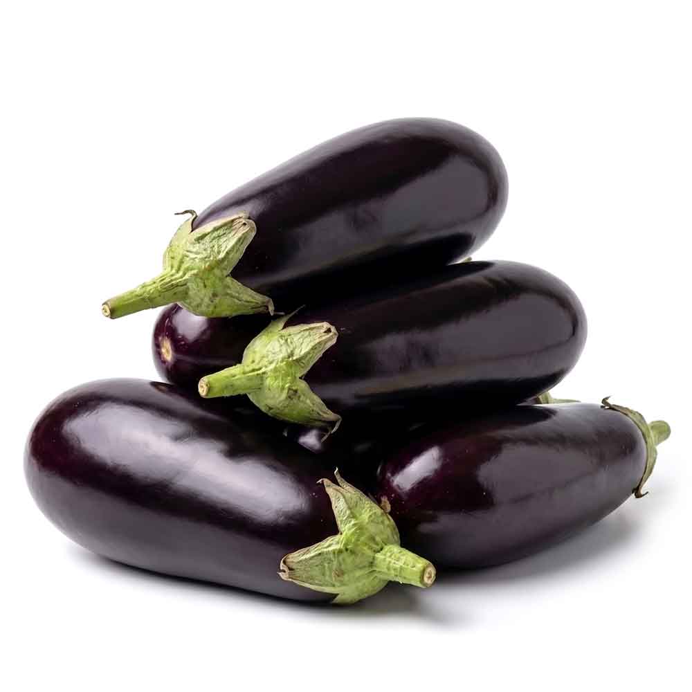 Fresh Eggplant Round