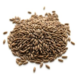 Rye Seeds
