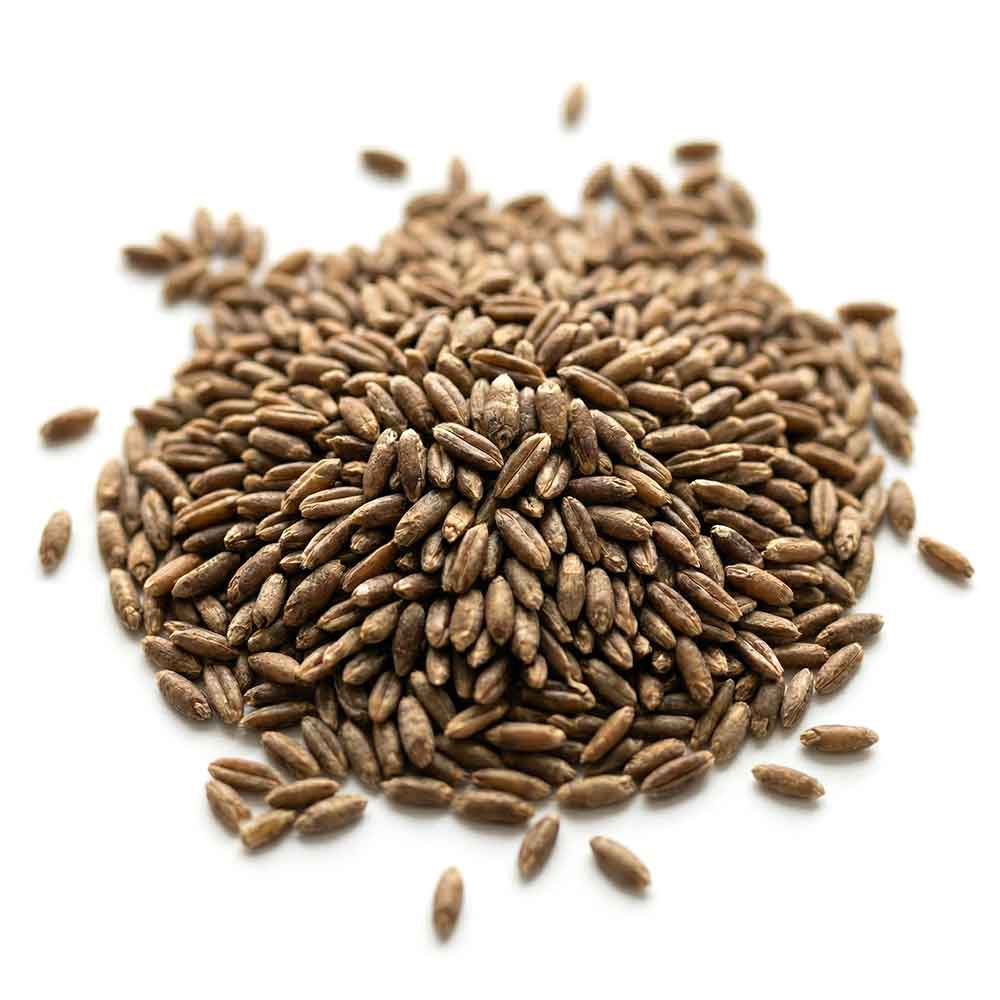Whole Rye Seeds