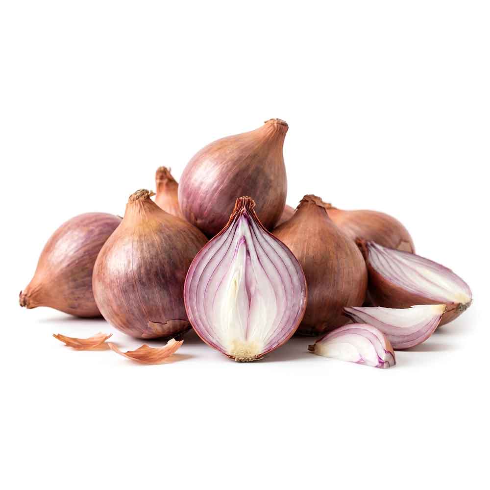 Premium Fresh Shallots