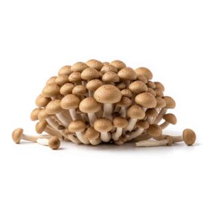 Shimeji Mushrooms