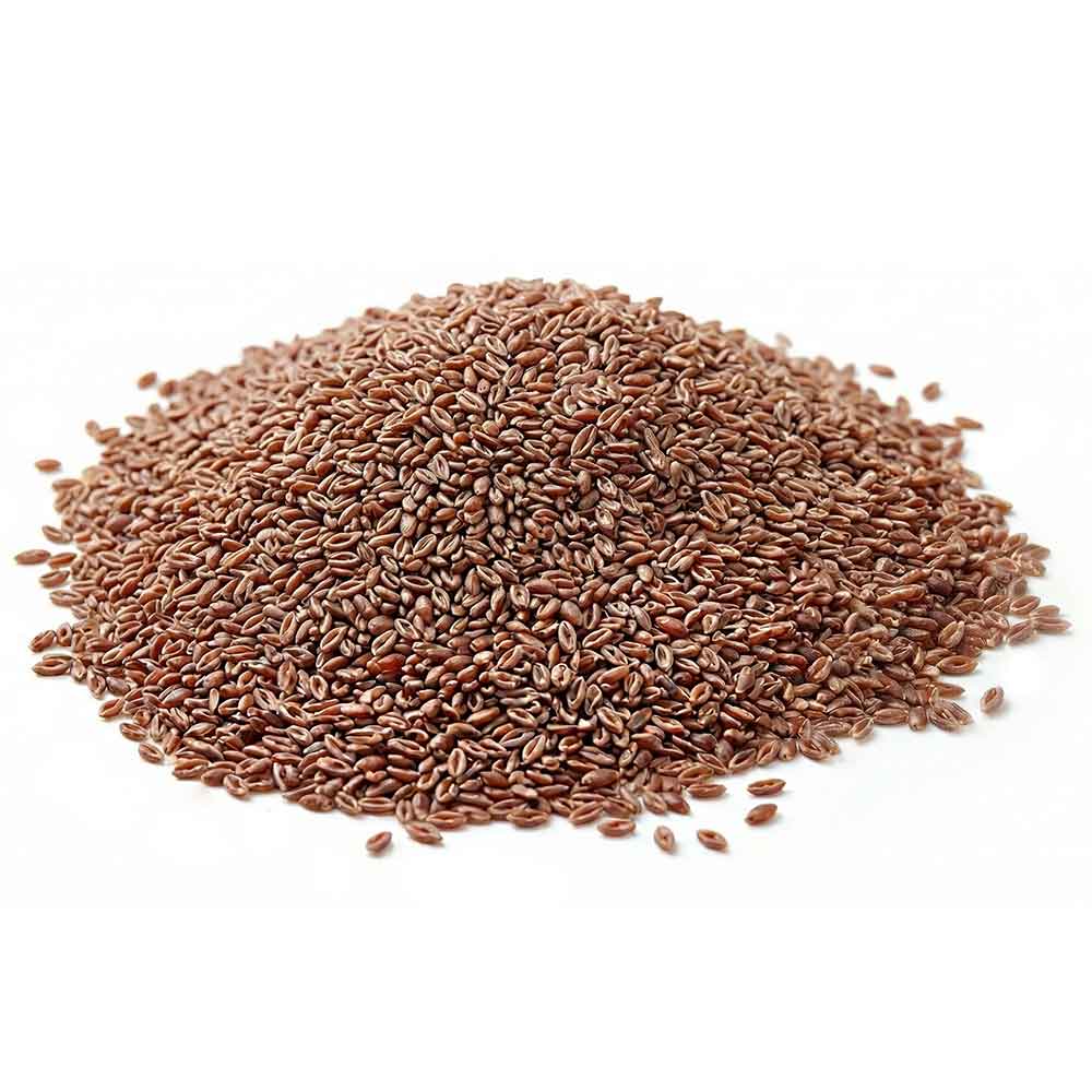 Organic Psyllium Husk Seeds